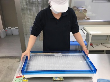 播種（種まき）